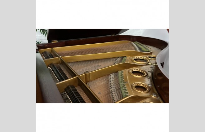 Bechstein Model A Restored Grand Piano In Beautiful Satin Mahogany Finish, Used Model - All Inclusive Premium Package (SN:10431) - Image 9